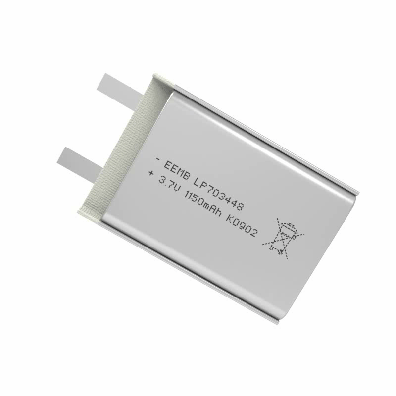 Lithium Polymer Battery